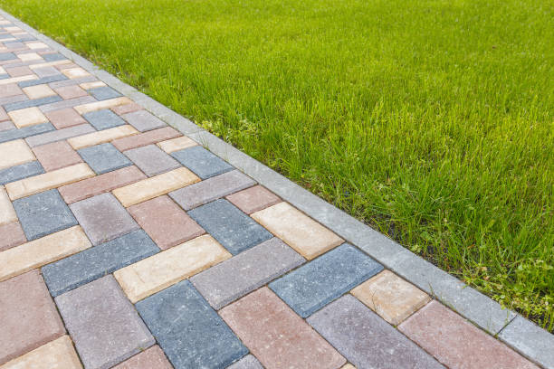 Best Driveway Paving Near Me  in Hays, NC